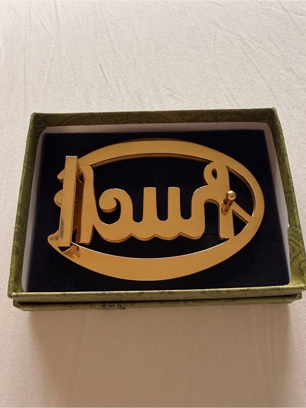 Gold Chuck Timely Belt Buckle for Role Model Chuck on Tour - Picture 2 of 5